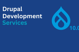 custom drupal development and support