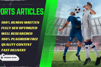 an SEO optimized sports blog for your website