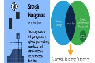 assist in strategic management, human resources, or entrepreneurship projects
