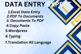 do excel data entry,copy paste,translation,pdf convert etc