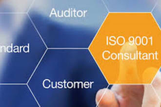 provide iso 9001 consultation