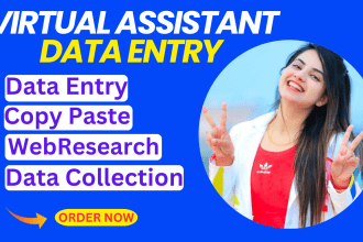 data entry virtual assistant b2b leads in excel,google sheet