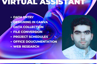 be your virtual assistant for data entry online admission data collection