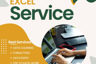 ,i will do data entry, excel data cleaning, copy paste