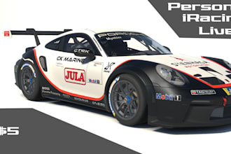create a professional personalized iracing livery