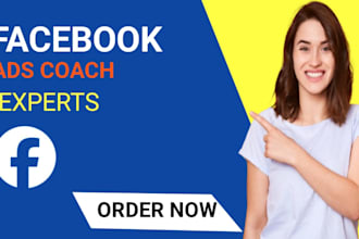 be facebook ads coach and 2 hours consultant