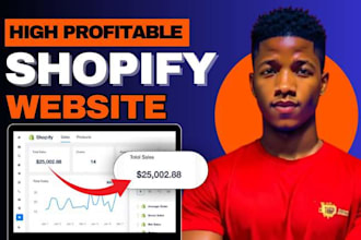 shopify store design, shopify website redesign shopify dropshipping store