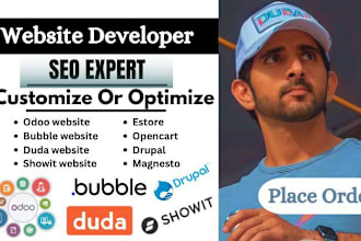 design website with SEO on odoo, bubble, duda, showit, drupal, wix, squarespace