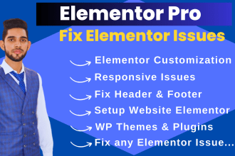 fix wordpress elementor errors, responsive issues in 12 hours