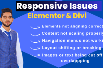 fix wordpress bug or html css responsive issues in 24 hours