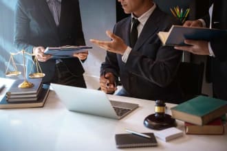 be your online lawyer or legal consultant
