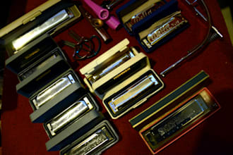 play harmonica on your song