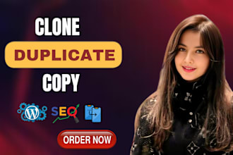 redesign, copy, clone, or duplicate any website