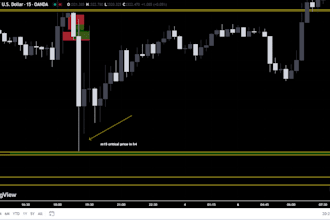 teach you price action and smart money concept by going into the depth of market