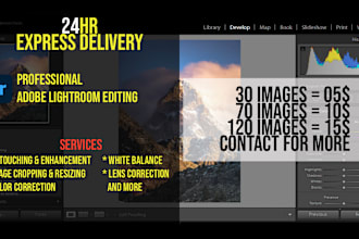 do professional adobe lightroom photo editing