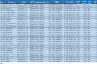 efficient data conversion specialist