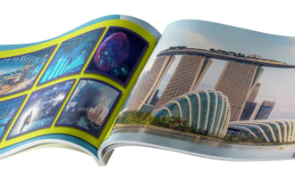 create brochure branding proposal book