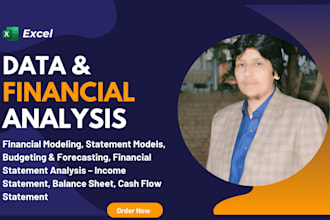 do excel financial modeling, forecasting, assessments, case study, report