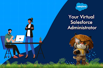 be your virtual salesforce admin developer consultant to do sf development work