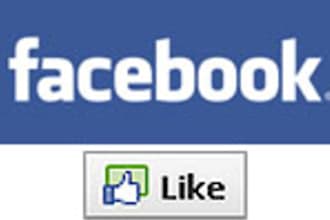 get 50 Facebook Like to a Fan Page or any Webpage
