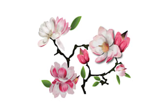 draw line art vector illustration of plants and flowers