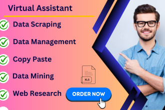 do the fastest excel data entry, data scraping, data mining
