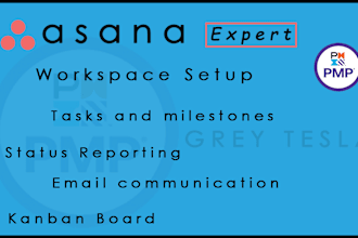 set up your asana workspace for boards and automation