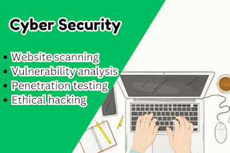 do professional owasp based web app penetration test with detailed report
