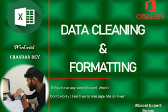 do excel data cleaning and formatting , data analyze
