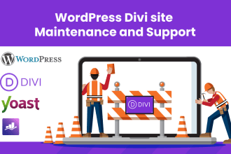 maintenance and keep up to date your divi wordpress site