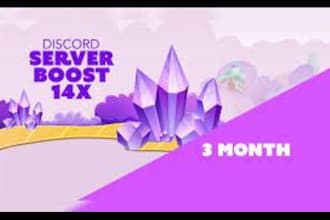 provide 3 month 14x discord server boost