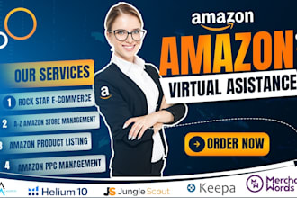 do amazon product hunting, sourcing, fba shipping, SEO and amazon PPC guru