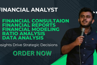 offer services in financial analysis, ratio analysis project reports