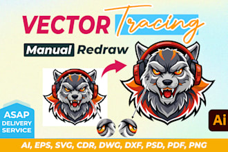 convert image, redraw, redesign, recreate logo to vector quickly