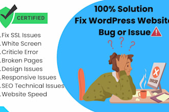 fix wordpress website bug or issues right away