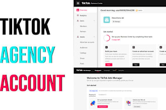 create tiktok agency account, tiktok agency ads account