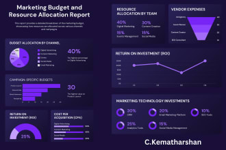 professional timeline, infographic designer