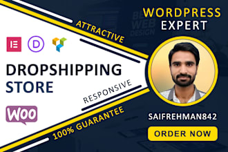 create a high selling wordpress dropshipping store website