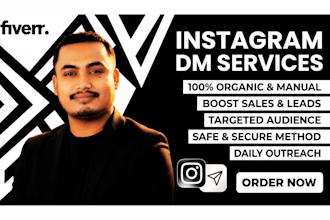 provide niche targeted instagram dms, instagram direct message service