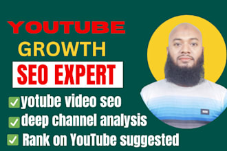 be your youtube manager and video seo expert