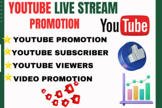 do youtube live stream video promotion, channel promotion to targeted audience