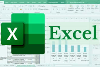 solve assignment and task in microsoft excel