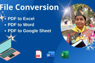 do data entry and file conversion pdf to word and excel