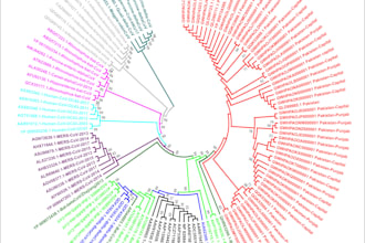do bioinformatics phylogenetic analysis and tree construction