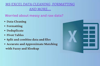excel data cleaning, formatting, editing, sorting, filtering