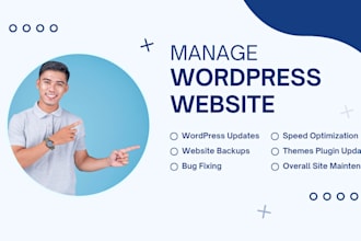 wordpress website manager, provide maintenance, fix bug, error and issues