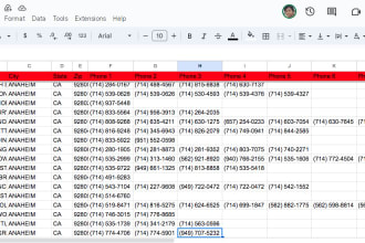 provide  probate list divorce leads pre foreclosur distressed lead skip trace