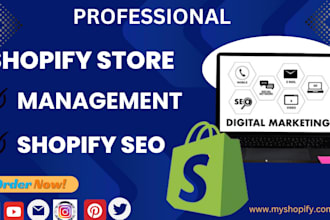 manage your shopify store, shopify store SEO