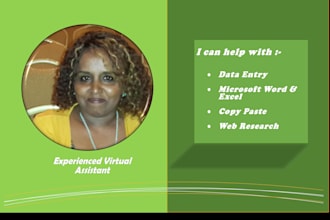 be your reliable seller for data entry word excel projects