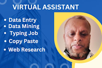 do data entry, data mining, web research and typing job